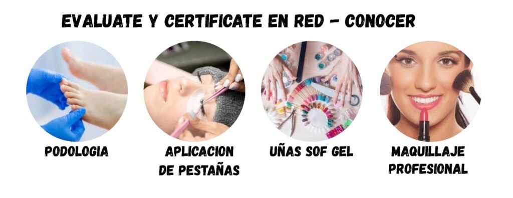 Cursos Red Conocer Igems